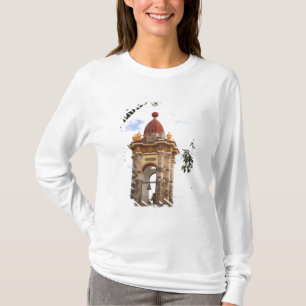 Camiseta América do Norte, México, estado de Guanajuato, Sa