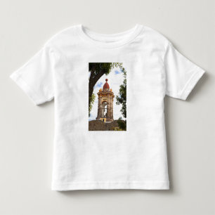 Camiseta América do Norte, México, estado de Guanajuato, Sa