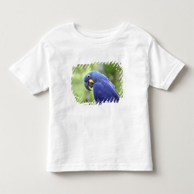 Camiseta América do Sul, Brasil, Pantanal (Frente)