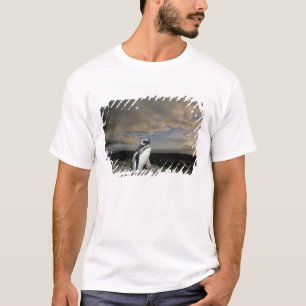 Camiseta América do Sul, Chile, Patagônia, Magellanes,