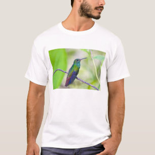 Camiseta América do Sul, Costa Rica, Sarapiqui, La Selva