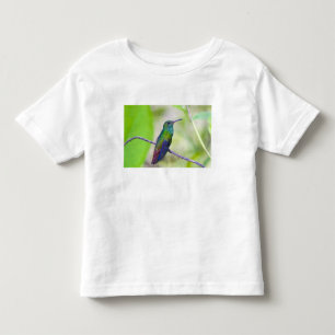 Camiseta América do Sul, Costa Rica, Sarapiqui, La Selva