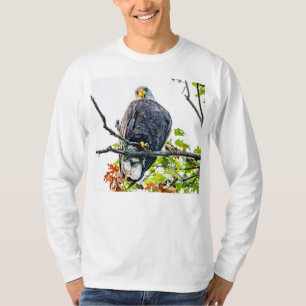 Camiseta América, Excelente Bald Eagle Stare Down