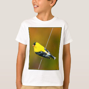 Camiseta American Goldfinch - Fotografia original