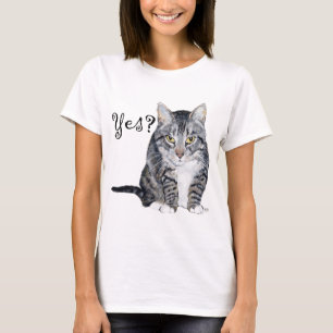 Camiseta "American Shorthair" - Sim?