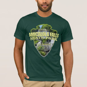 Camiseta Amicalola Falls (flecha)