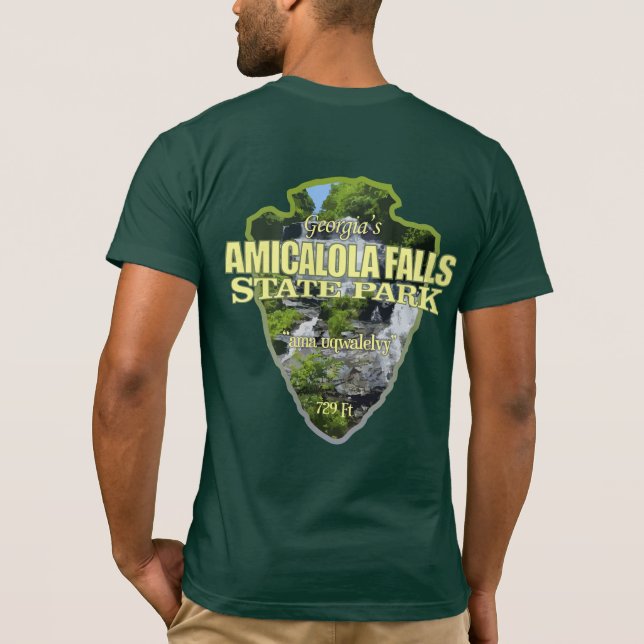 Camiseta Amicalola Falls (flecha) (Verso)