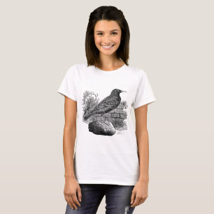 Camiseta Amido