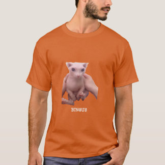Camiseta Amigo gato Bingus