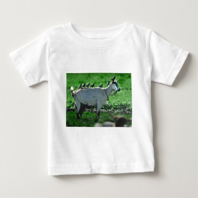 Camiseta Amigos (Frente)