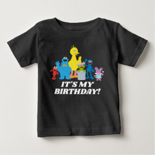 Camiseta Amigos da Rua Sésamo É Meu Aniversário