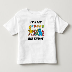 Camiseta Amigos da Rua Sésamo   É Meu Aniversário