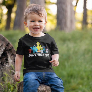 Camiseta Amigos da Rua Sésamo Menino do Aniversário - Nom