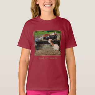 Camiseta Amigos Personalizados do Barnyard de Animais de fa