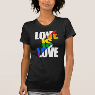 CAMISETA AMOR É AMOR