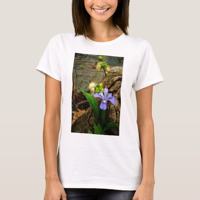 Camiseta Anã-Caverna-Iris, flor branca púrpura azul-púrpura (Frente)