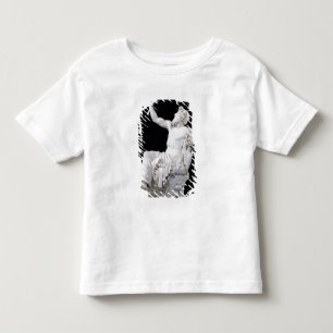 Camiseta Anacreon, 1851