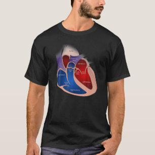 Camiseta Anatomia cardíaca