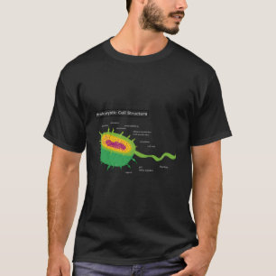 Camiseta Anatomia Célula Bactéria Célula Vegetal