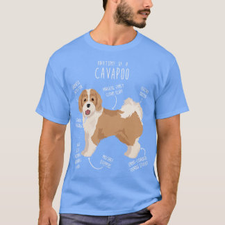 Camiseta Anatomia Contra Cachorro Cavapoo