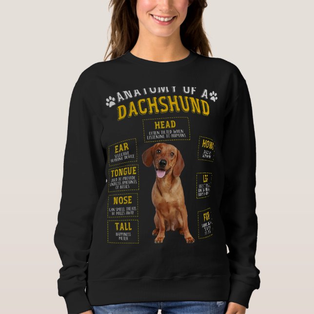 Camiseta Anatomia Dachshund Para Homens (Frente)