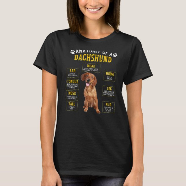Camiseta Anatomia Dachshund Para Homens (Frente)