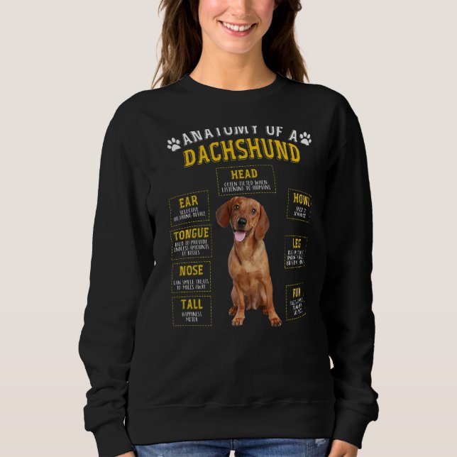 Camiseta Anatomia Dachshund Para Homens (Frente)