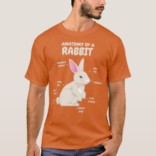 Camiseta Anatomia De Piada De Coelho Coelhinho
