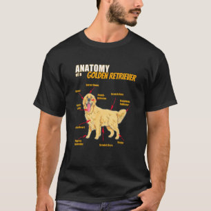 Camiseta Anatomia De Um Cachorro Ouro Retriever Desenhando