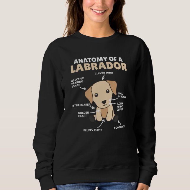 Camiseta Anatomia De Um Labrador Retriever Cães Doce (Frente)