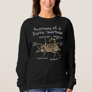 Camiseta Anatomia De Um Pet De Gato De Ar Curto Exótico