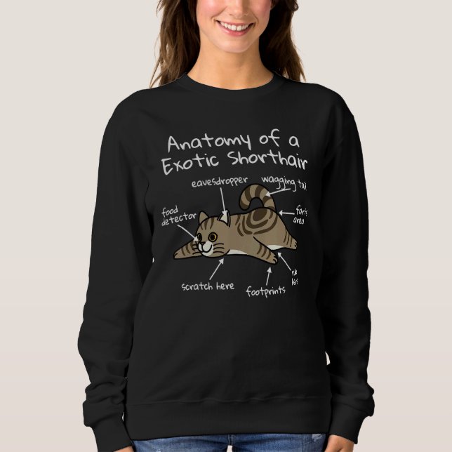 Camiseta Anatomia De Um Pet De Gato De Ar Curto Exótico (Frente)