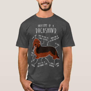 Camiseta Anatomia do cão de Sable Dachshund com Cabelos lon