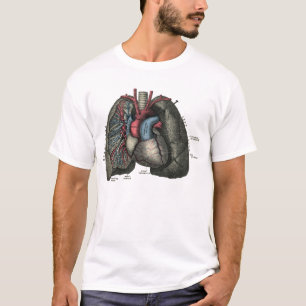 Camiseta Anatomia do Coração Humano 1902 Vintage