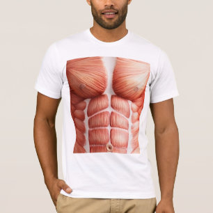 Camiseta Anatomia do corpo muscular do felpudo Express®