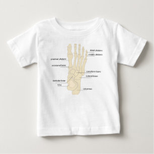 Camiseta Anatomia dos ossos dos pés