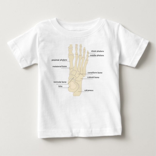 Camiseta Anatomia dos ossos dos pés (Frente)