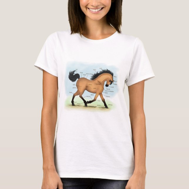 Camiseta Anatomia educativa equina com pele de bucha (Frente)