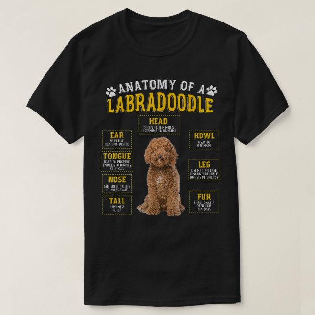 Camiseta Anatomia Engraçada Labradoodle Oferece Presentes P (Frente do Design)