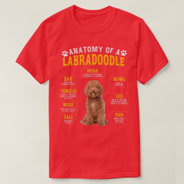 Camiseta Anatomia Engraçada Labradoodle Oferece Presentes P (Frente do Design)