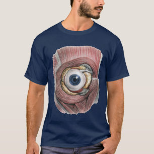Camiseta Anatomia Humana Vintage, Olho com Músculos
