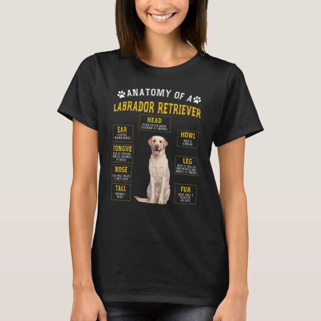 Camiseta Anatomia Labrador Retriever Para Homens (Frente)