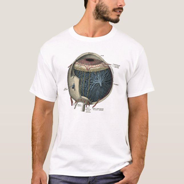 Camiseta Anatomia ocular humana Vintage 1902 (Frente)