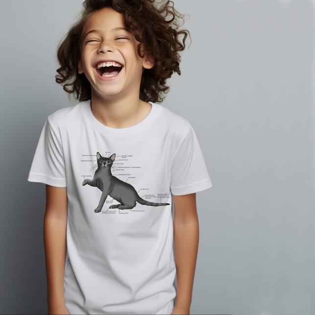 Camiseta Anatomy of a Cat (Criador carregado)