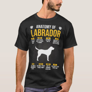 Camiseta Anatomy Of Labrador Dog