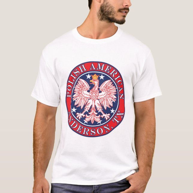 Camiseta Anderson Texas Polonês American Eagle (Frente)