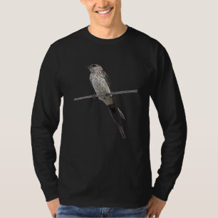 Camiseta Andorinha Da Rocha No Fio Vetor