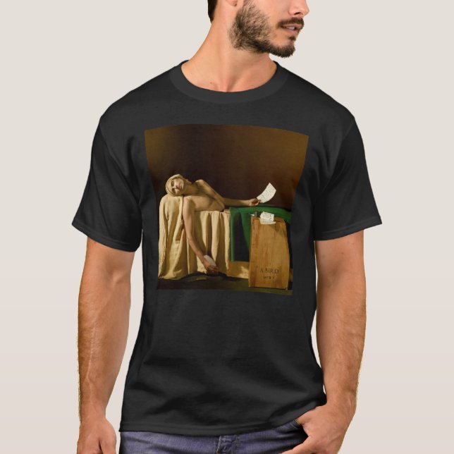 Camiseta Andrew Bird  My Finest Work Yet Gift For Fans For  (Frente)