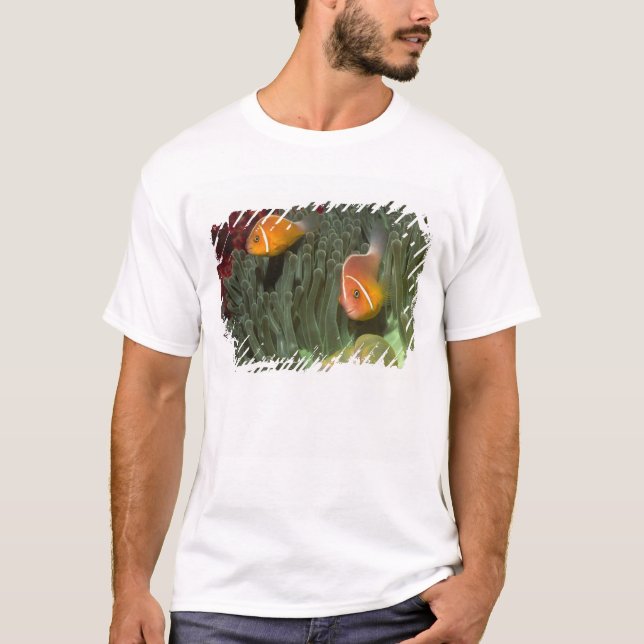 Camiseta Anemonefish cor-de-rosa na anêmona de mar de (Frente)