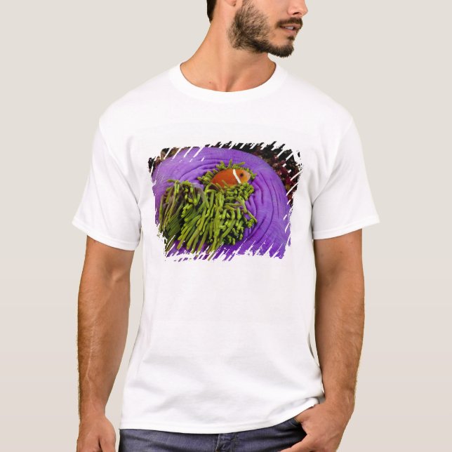 Camiseta Anemonefish e grande anêmona (Frente)